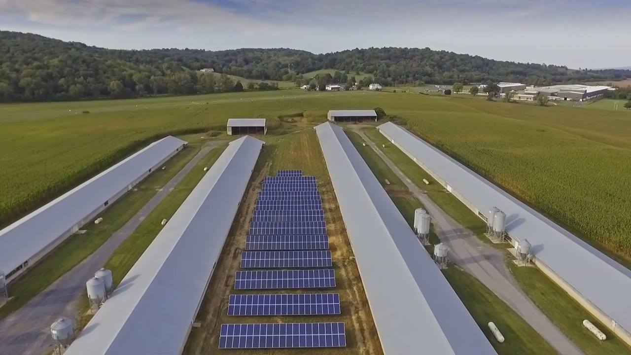 farm with solar array